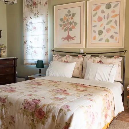 Pentathlon Collection *