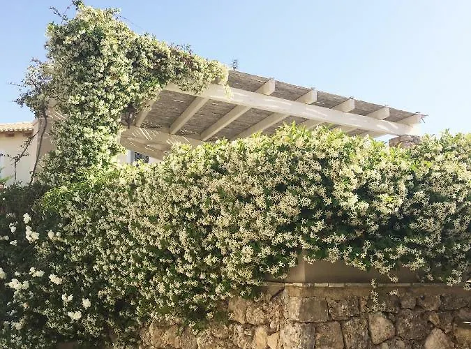 Villa Pentathlon Collection Porto Cheli