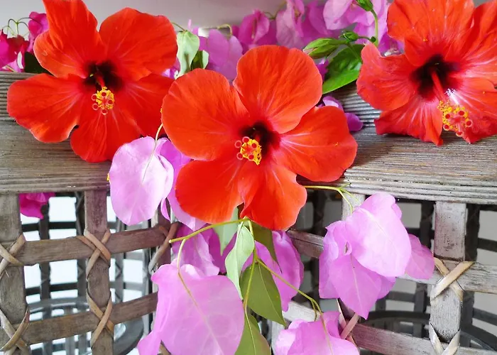 Pentathlon Collection Πόρτο Χέλι