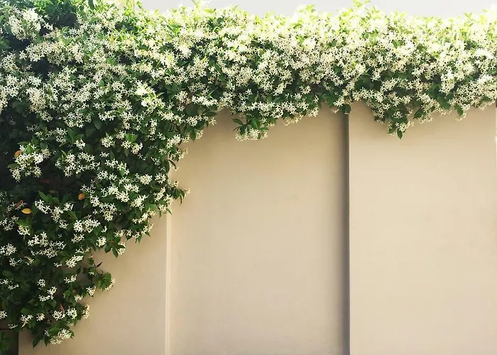 Βίλα Pentathlon Collection