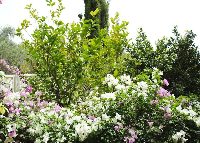 Βίλα Pentathlon Collection Πόρτο Χέλι