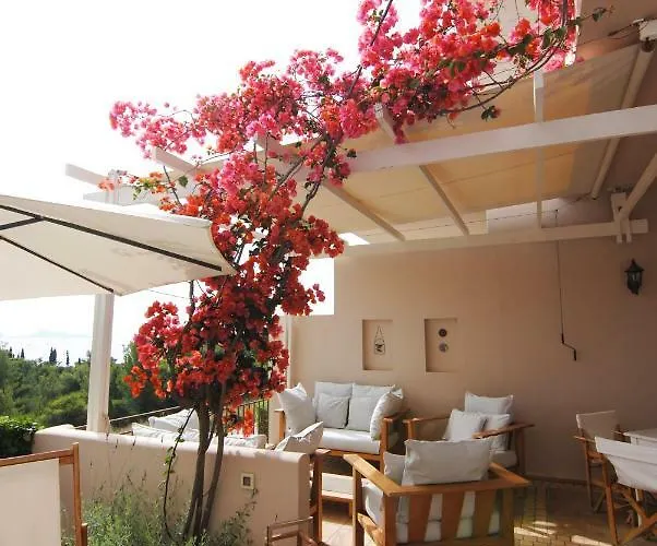 Pentathlon Collection